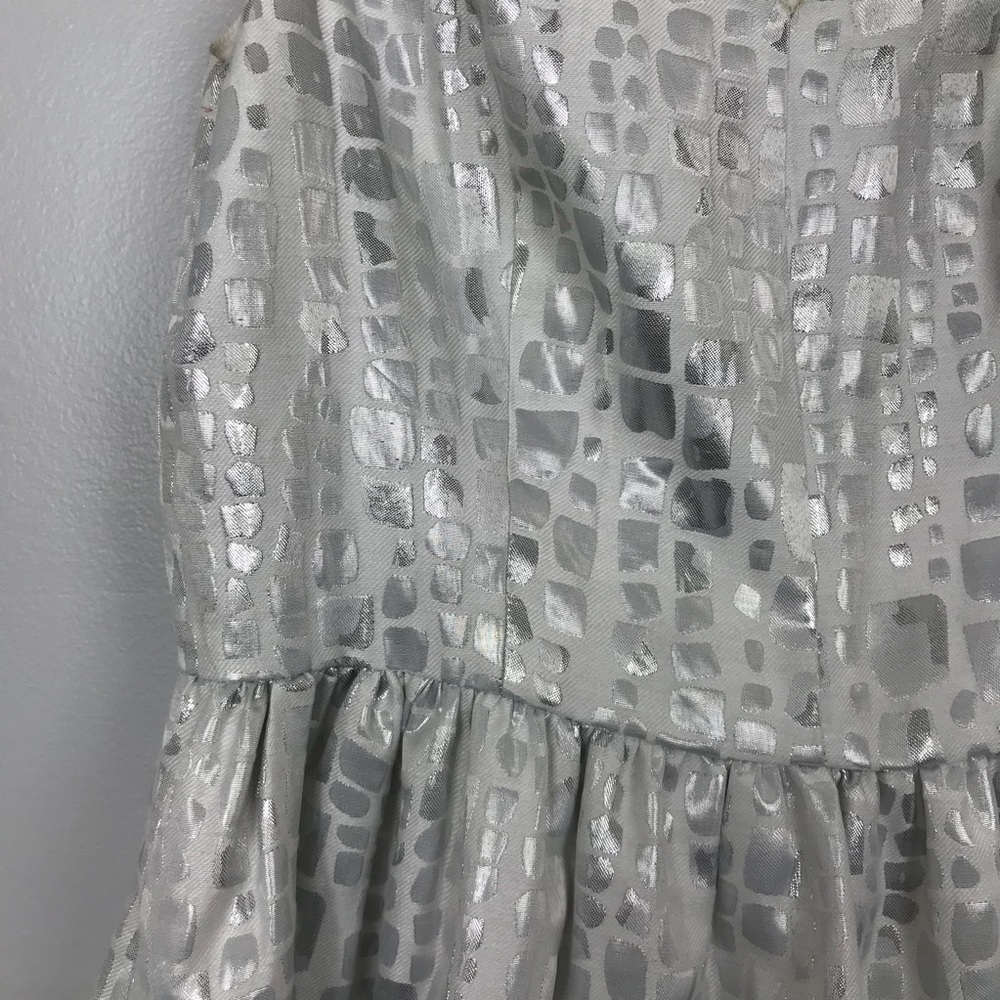 β¨HPβ¨ Mac + Jac Silver Skater Dress - Picture 4 of 8
